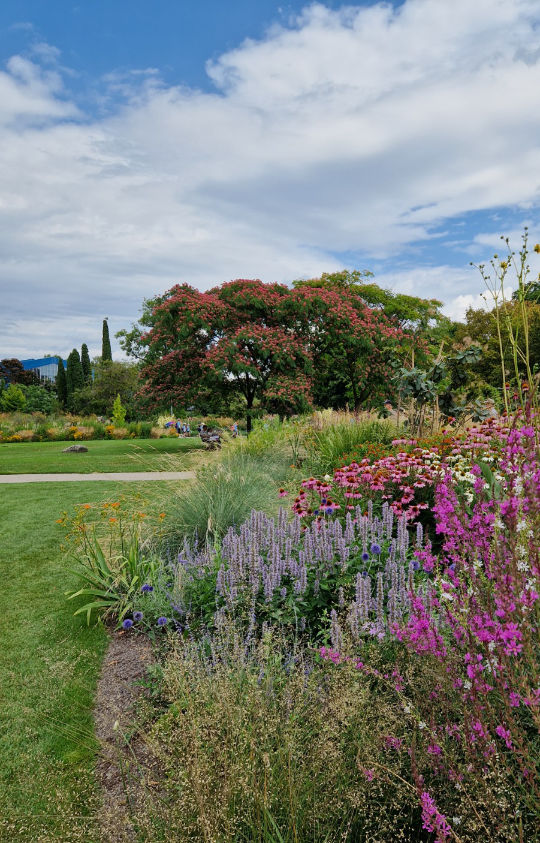 Garten Umgestaltung